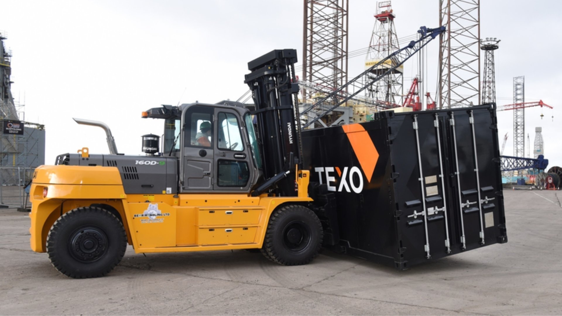 TEXO - Bear